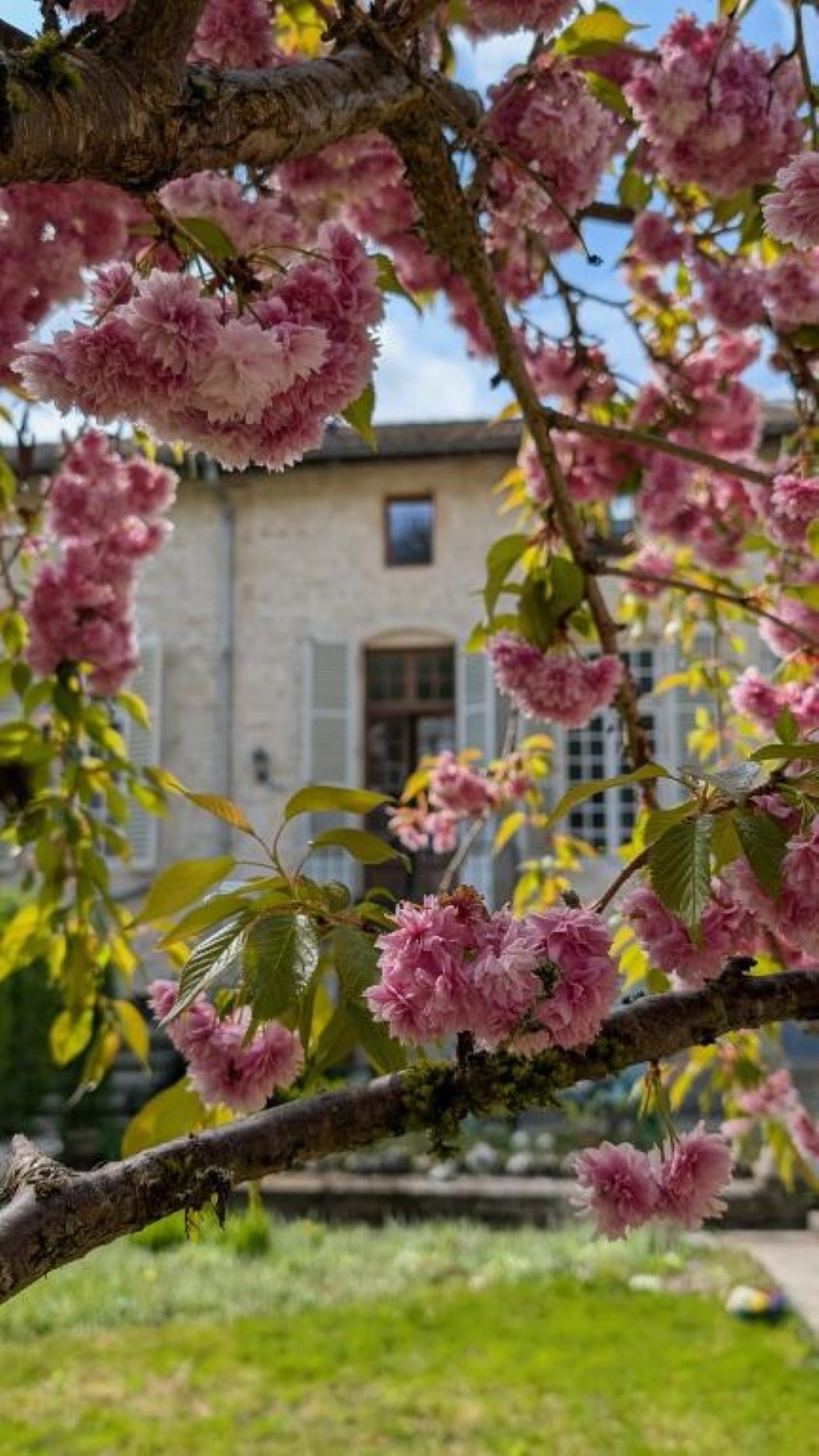 Bed and breakfast Le Val du Roy