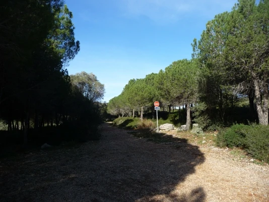 chemins de garrigues