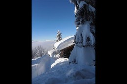 VUE DEPUIS L'ARRIERE DU CHALET