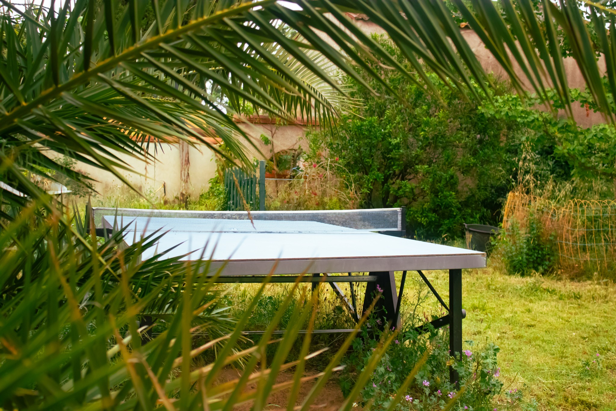 Table de ping-pong
