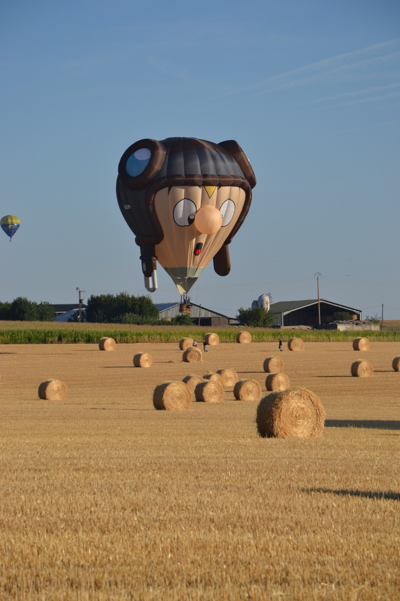 Une drôle de montgolfière du MAB se pose dans un champ derrière nos gites.
