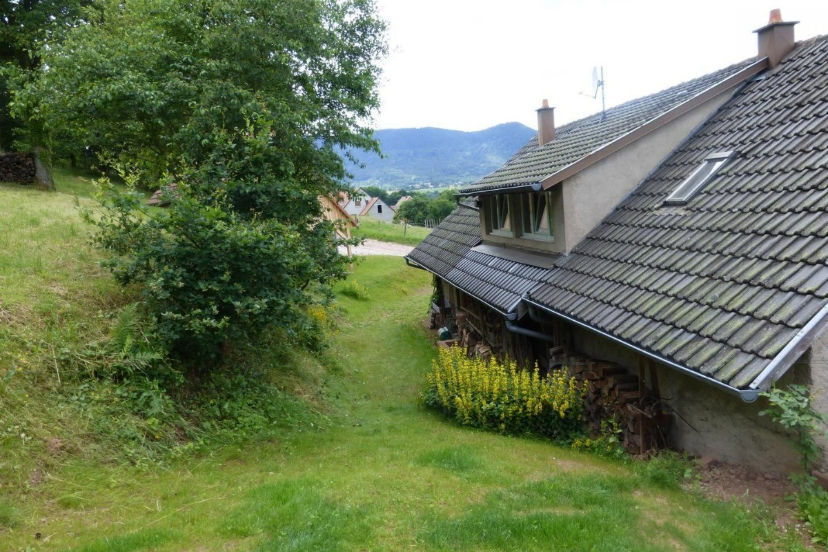 Photo n° 11 of the location
