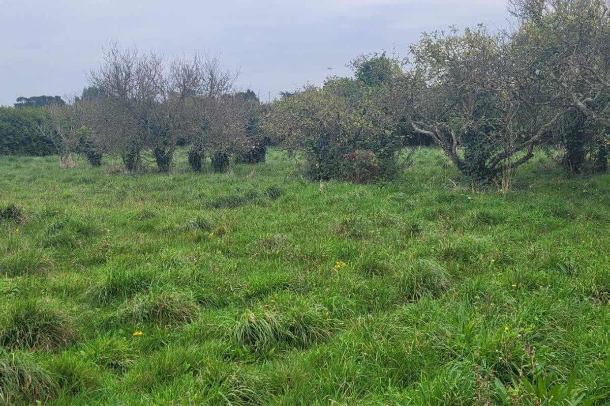 Photo n° 19 of the location