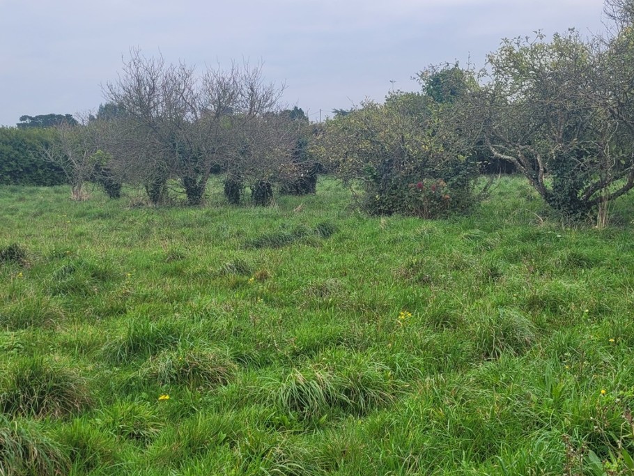 Photo n° 19 of the location