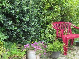 Image n° 4 de la location