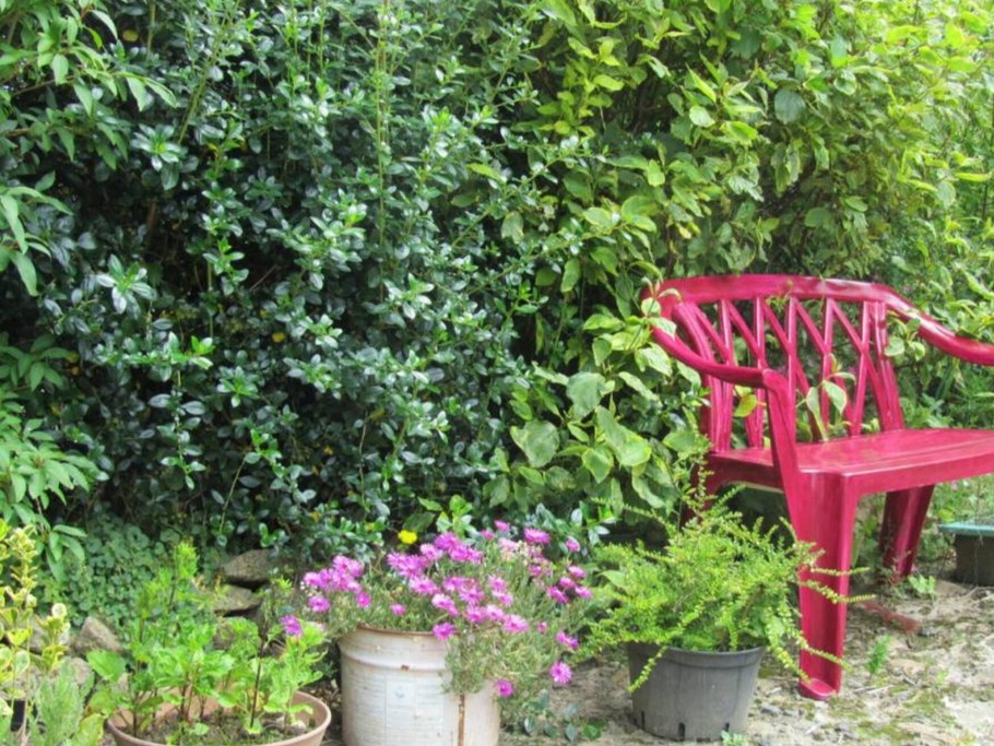 Photo n° 4 de la location