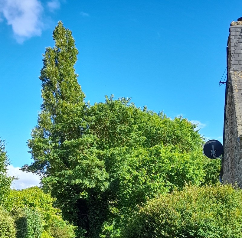 Maison. location Clévacances Bourbriac (Côtes d'Armor, Bretagne) - votre arrivée à la propriété