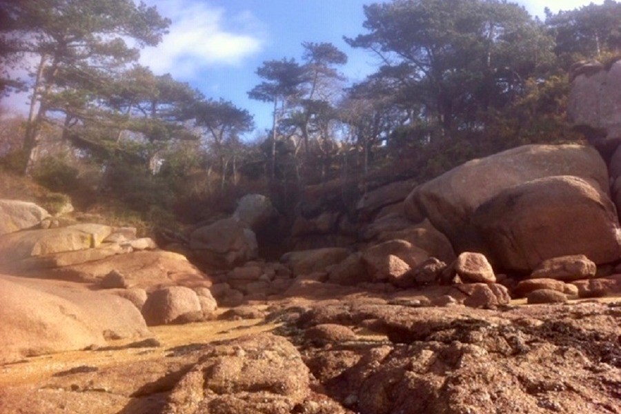 à marée basse, à proximité de l'appartement, mais il faut connaître ...