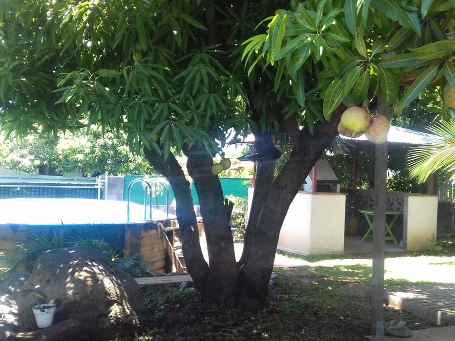 Photo n° 1 de la location