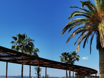 Photo n° 22 de la location