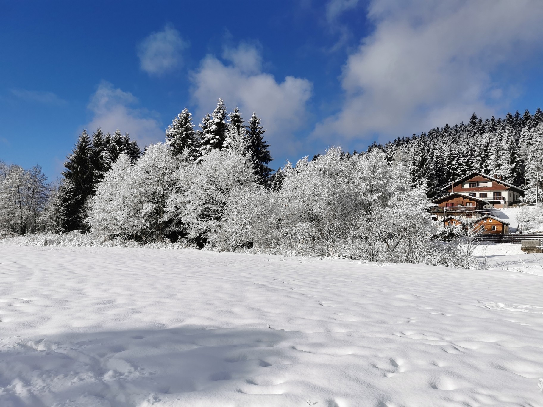 Chalet de la Roche du Page