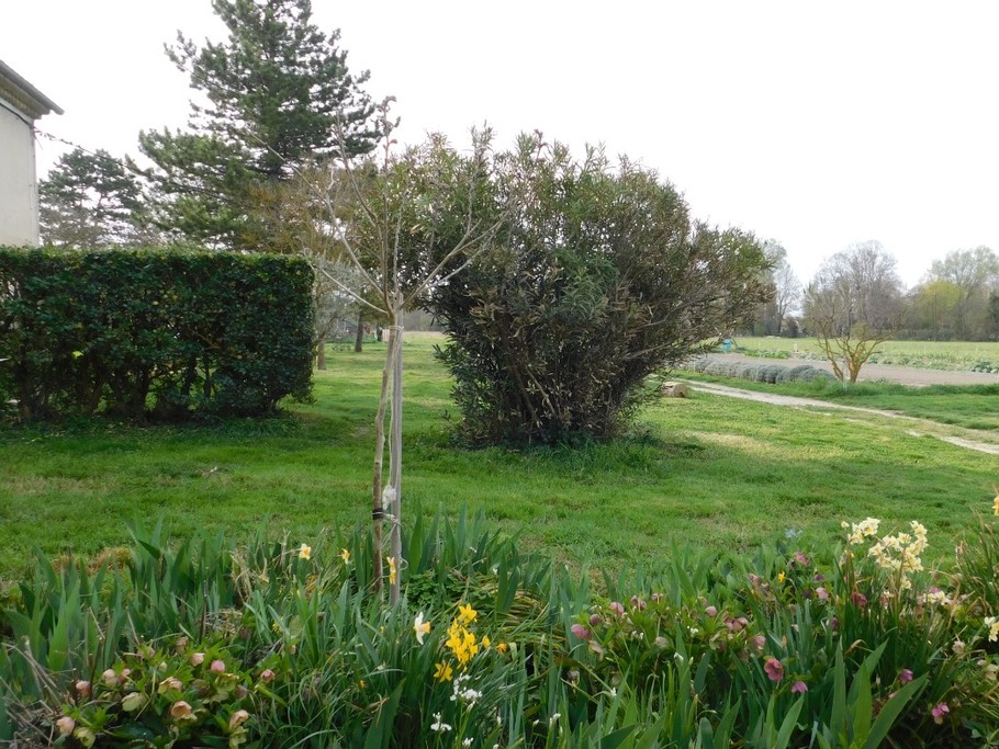 Photo n° 3 of the location