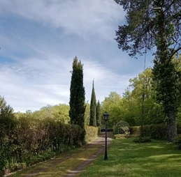 Image n° 4 de la location