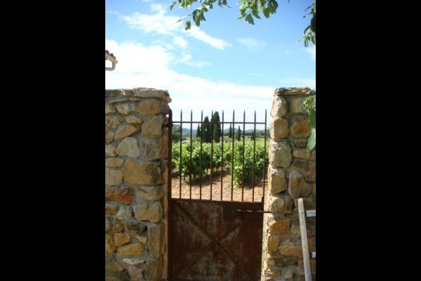 Photo n° 12 de la location