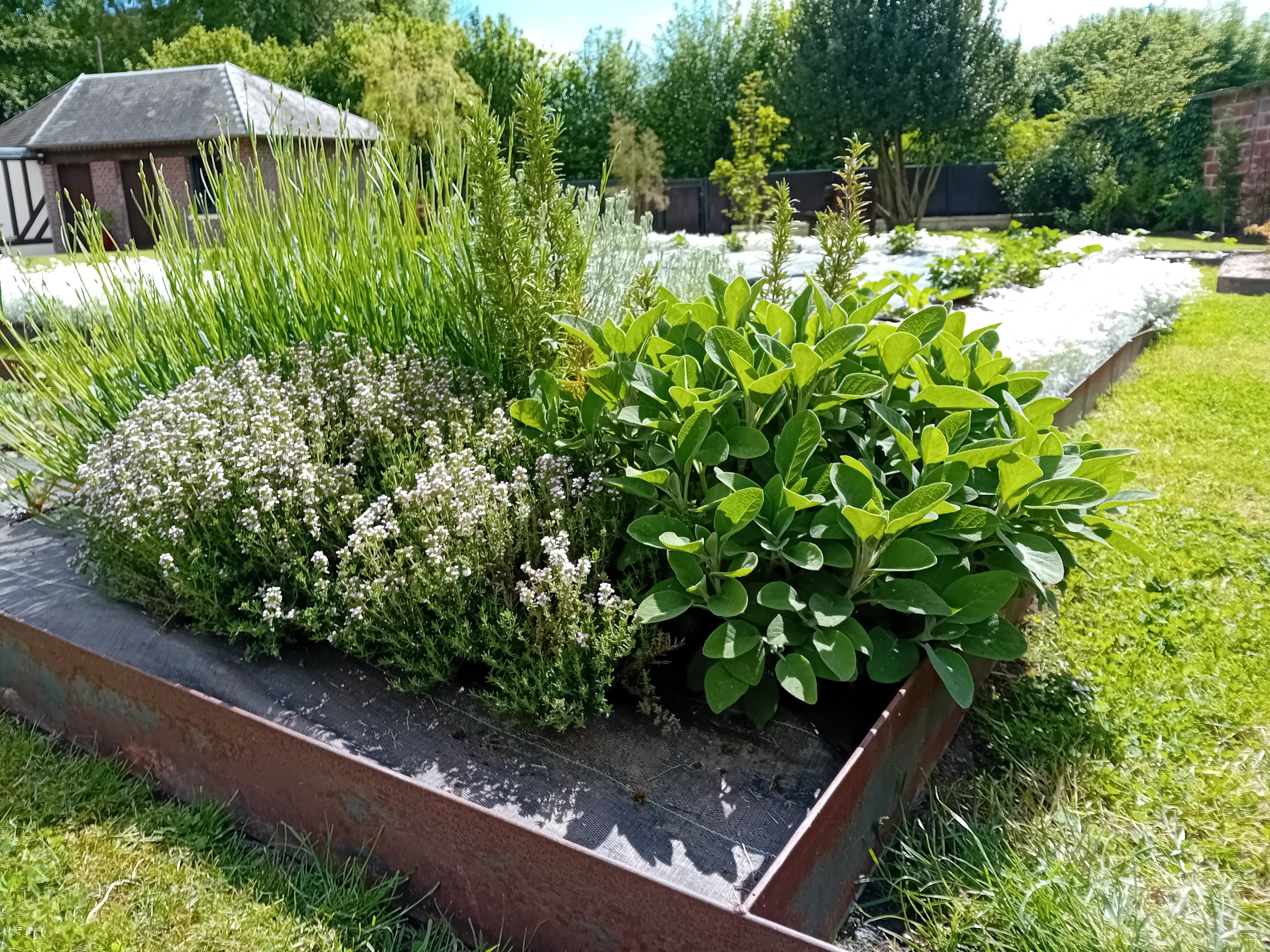 Le potager