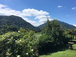 Image n° 4 de la location