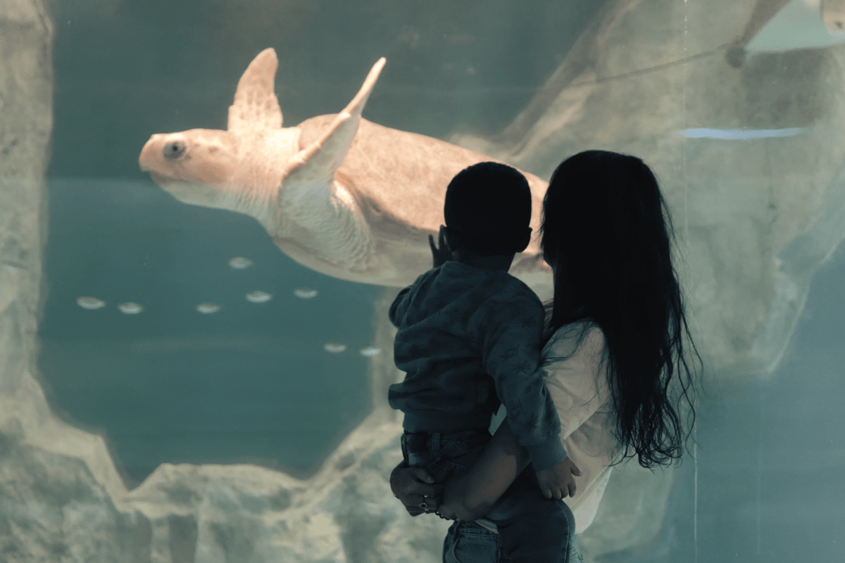 Visite du Grand Aquarium de Saint-Malo