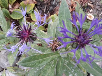 Photo n° 13 of the location