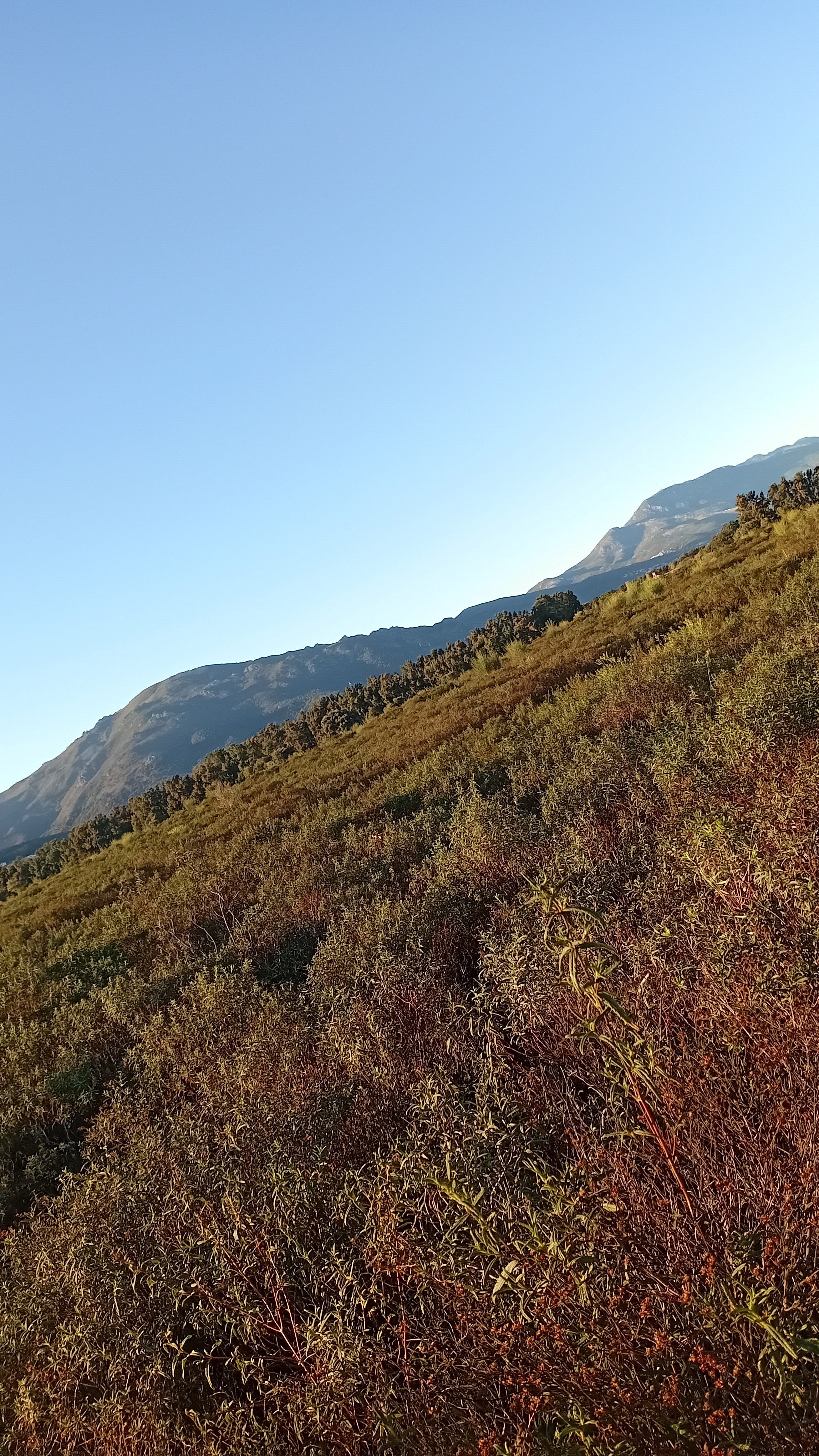 Randonnée a proximité