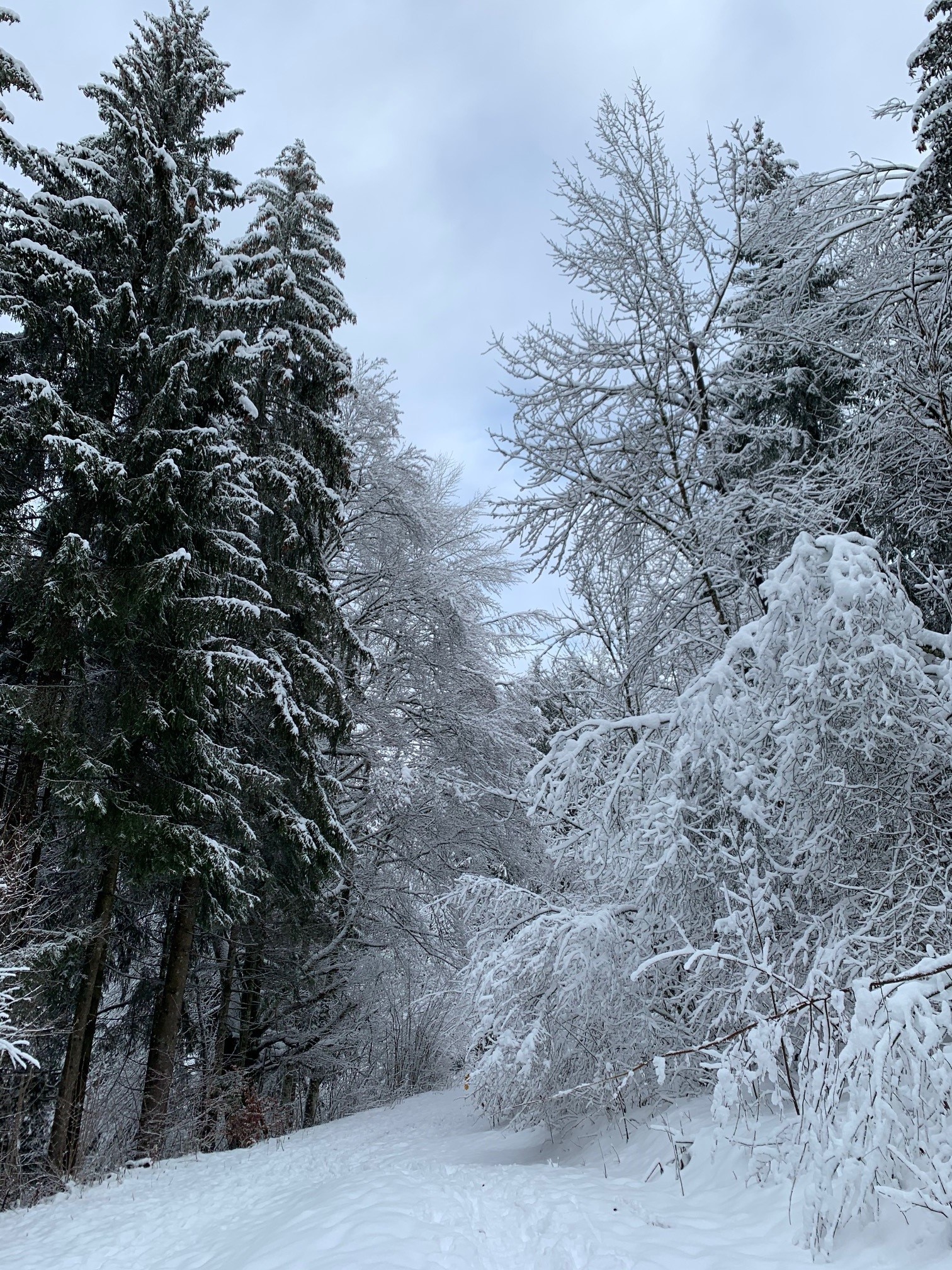 Photo n° 11 of the location