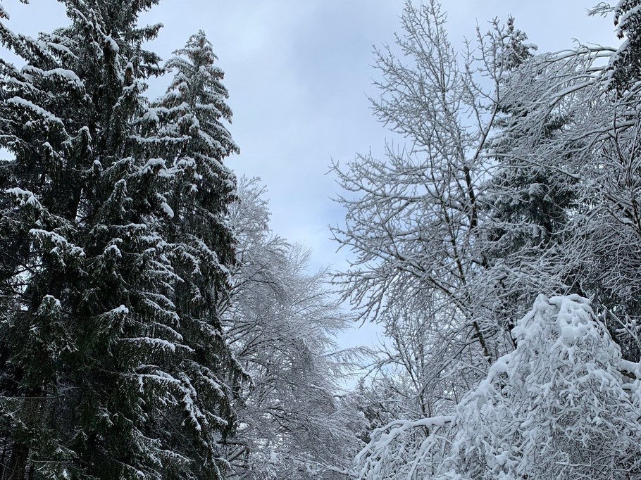 Photo n° 11 of the location