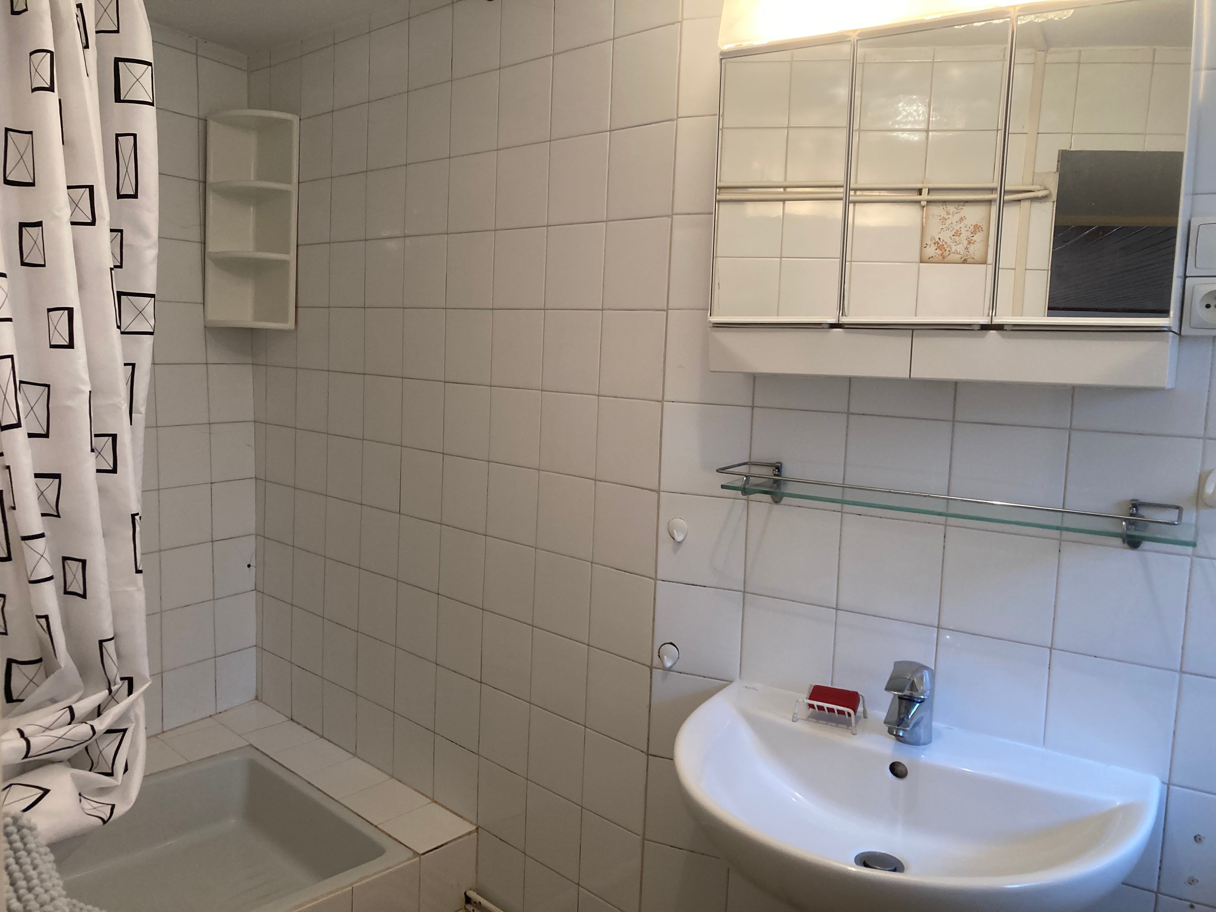 shower room and toilet