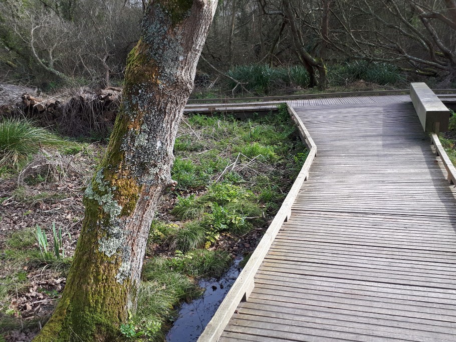Parcours piéton dans les marais à 400 m