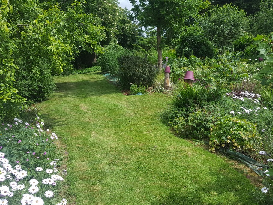 Maison, location Clévacances Bourbriac (Côtes d'Armor, Bretagne) -le jardin côté sud