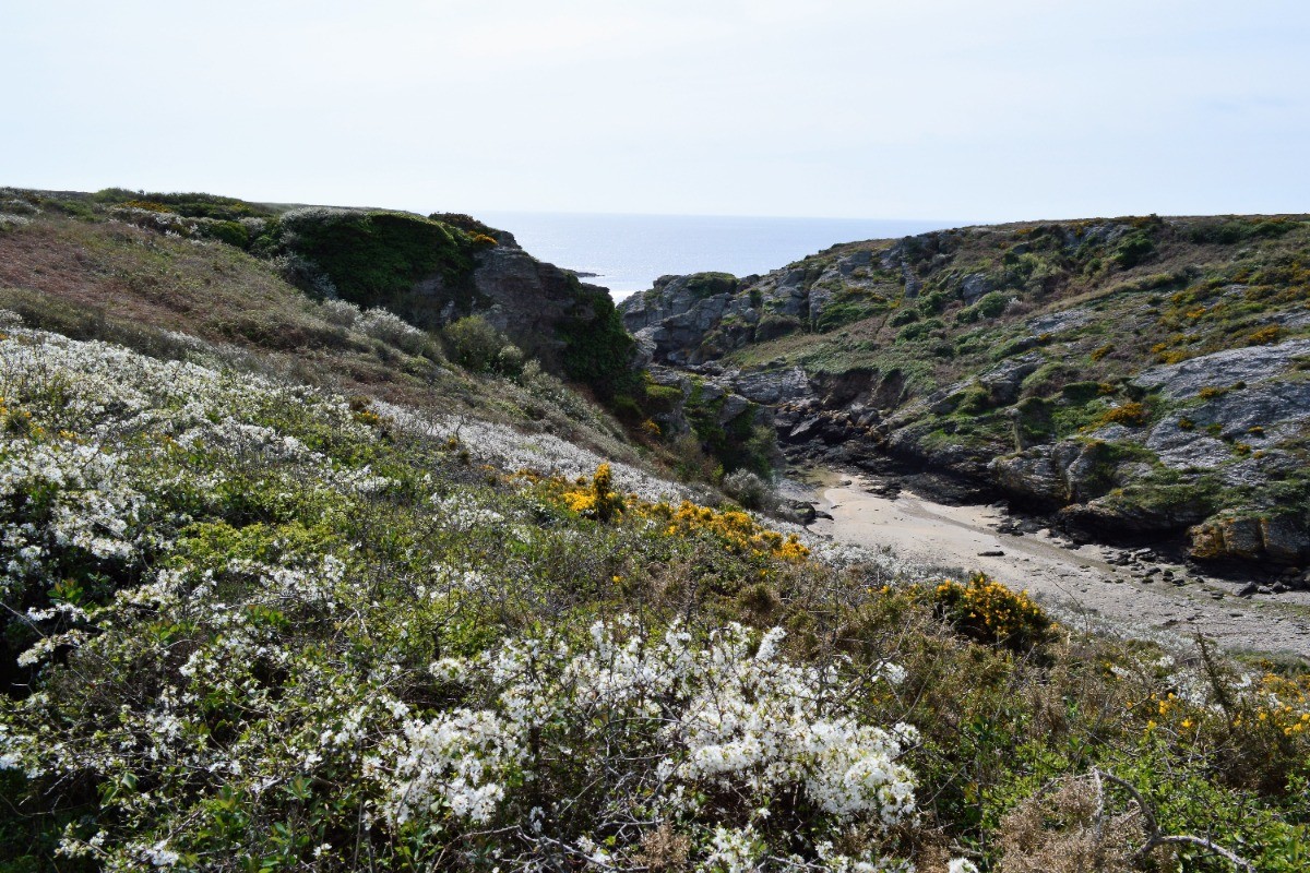 crique Pro Hors à marée basse - 250m de la maison - galets à marée haute