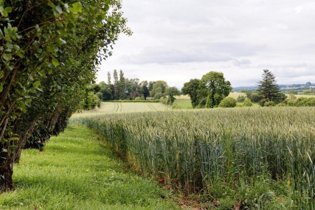 Photo n° 15 de la location