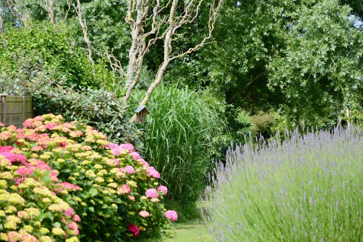 Le jardin.