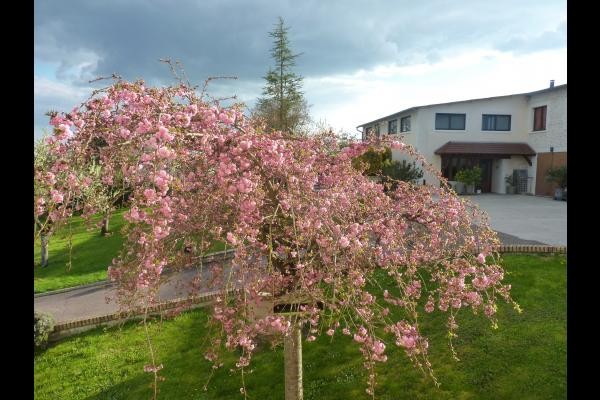 Photo n° 10 de la location