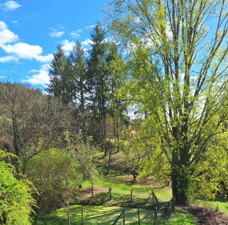 Photo n° 18 of the location