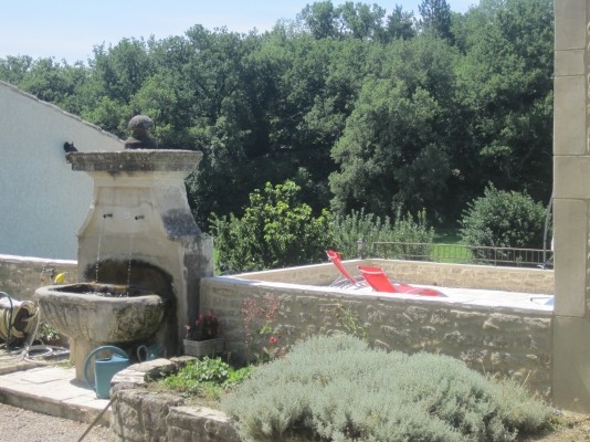 Les Ânes de Forcalquier