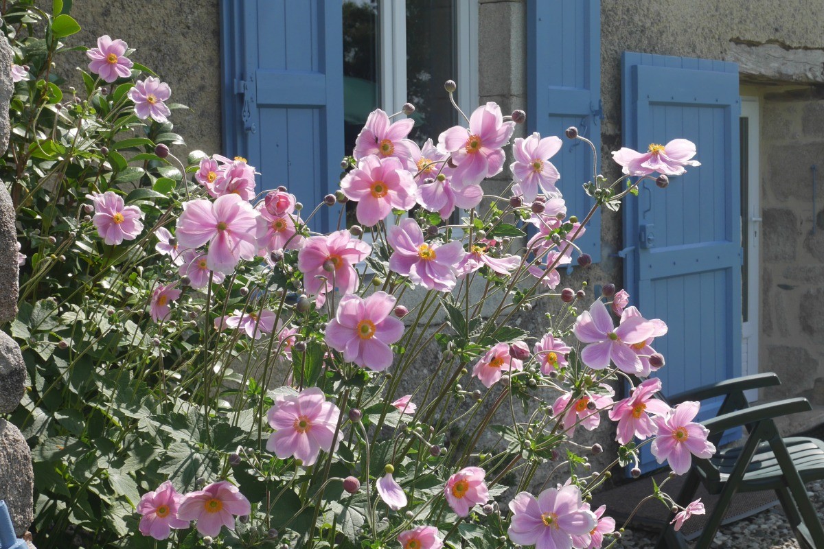 Un été agréable et reposant !