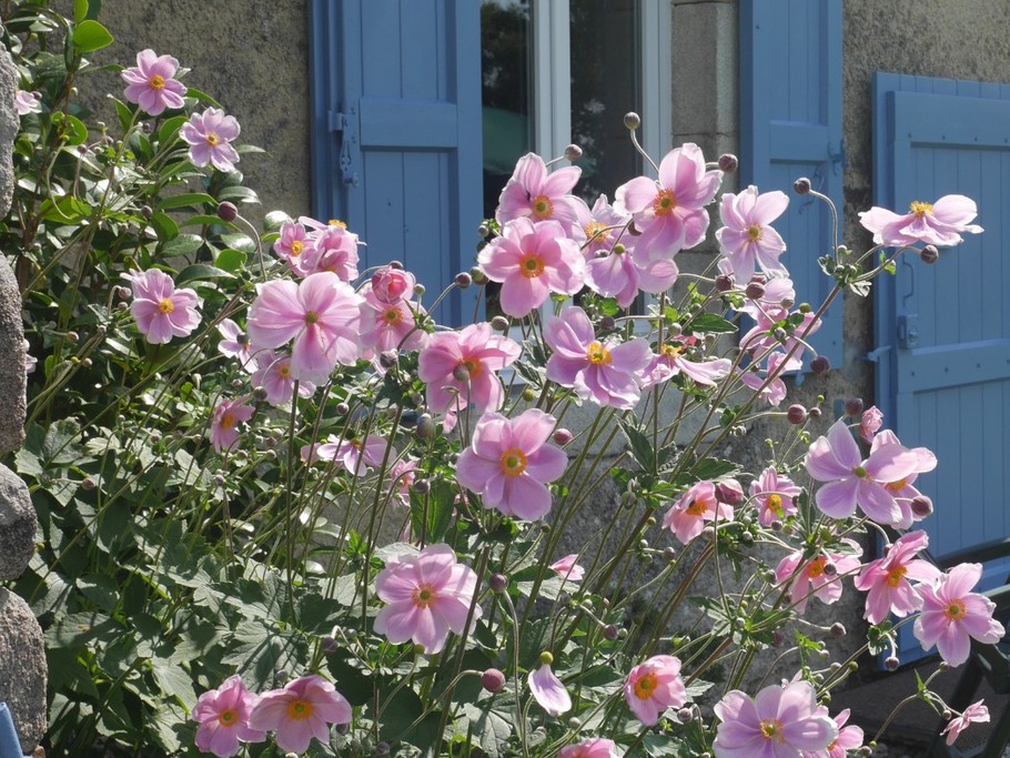 Un été agréable et reposant !