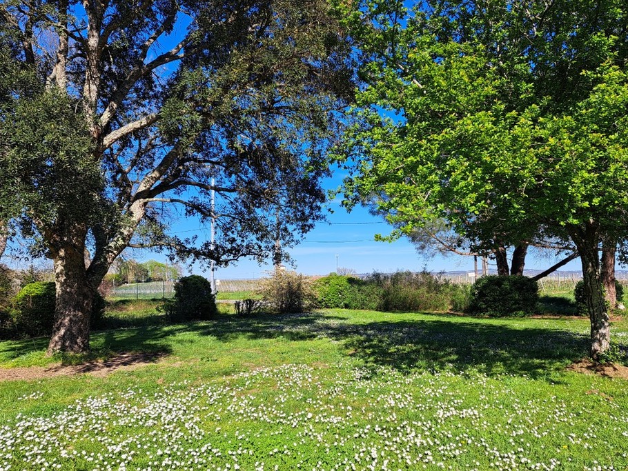 Le jardin au printemps