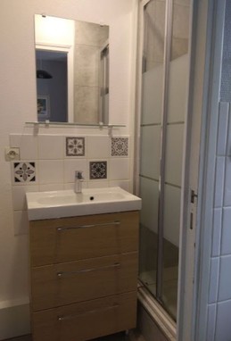 Enclosed shower room with shower and WC
