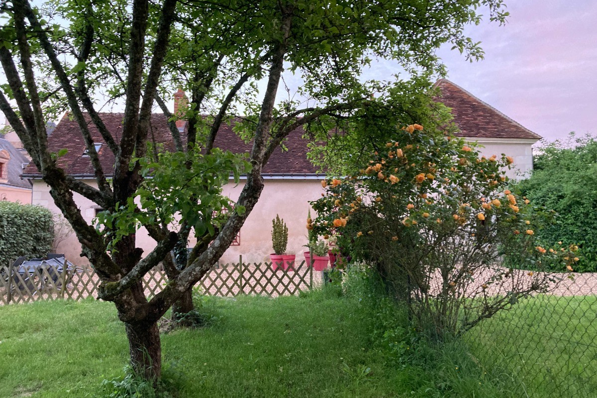 Jardin