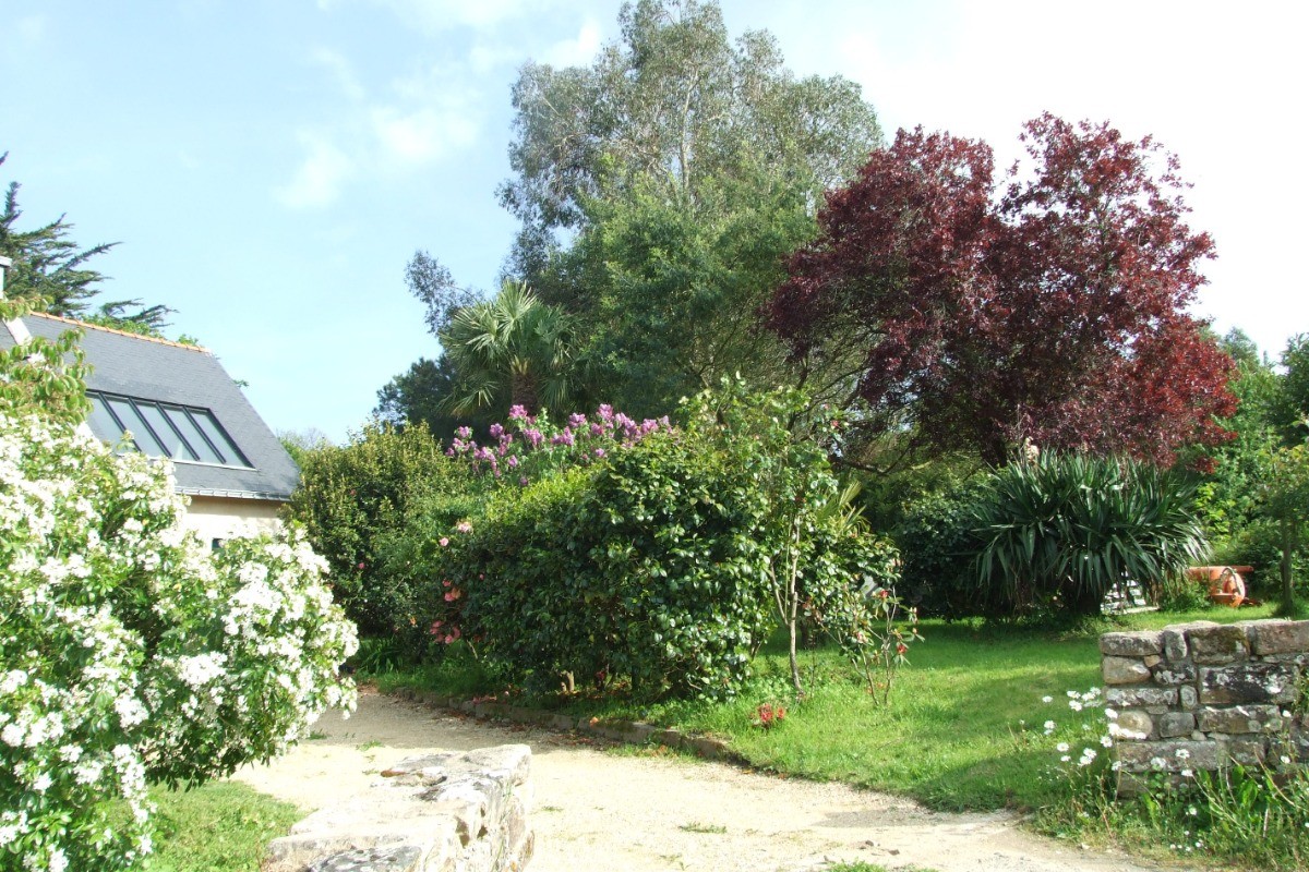 Photo n° 7 de la location