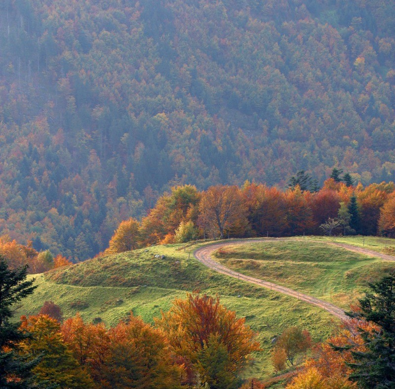 Photo n° 20 de la location