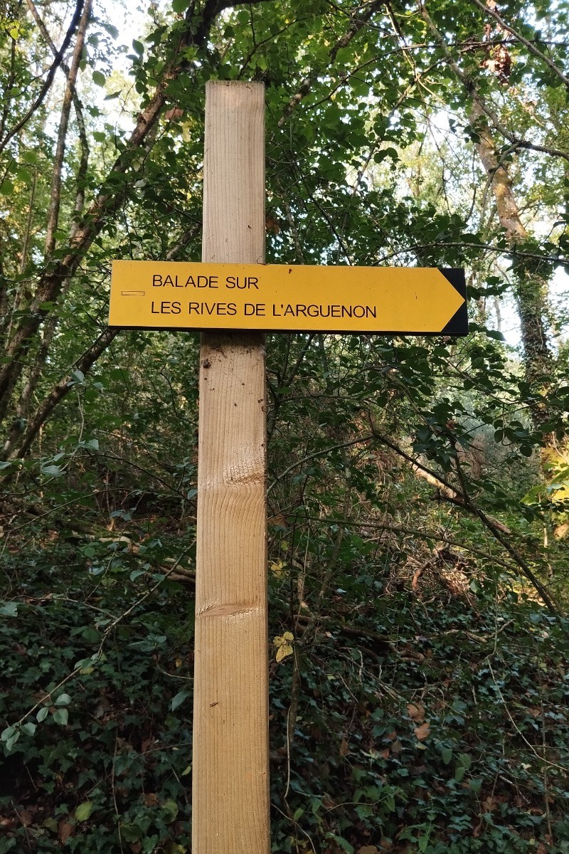 Photo n° 17 de la location