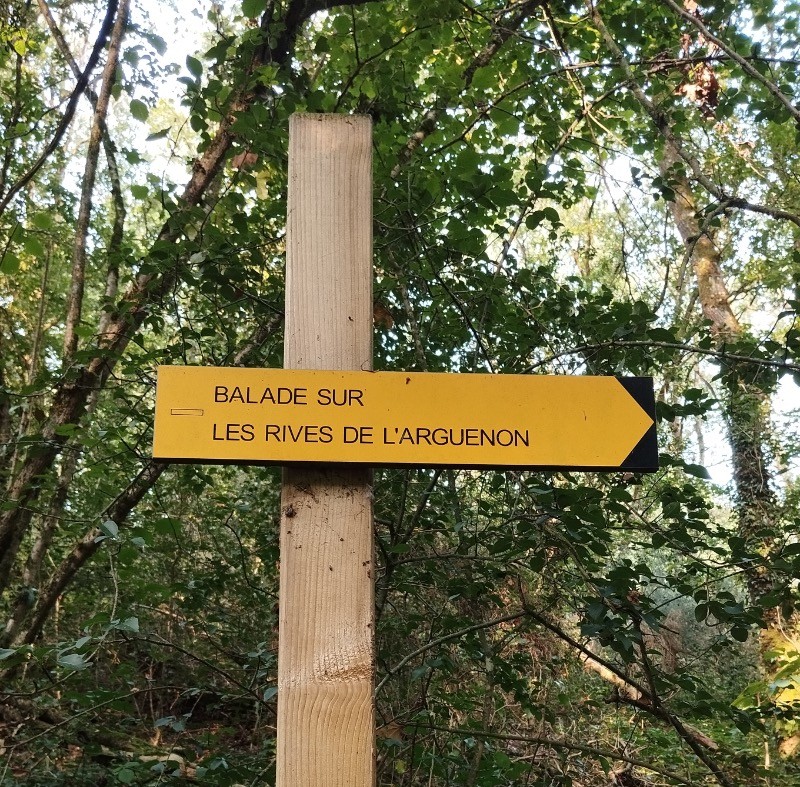 Photo n° 17 de la location