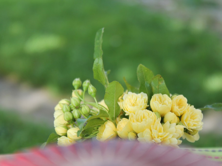 Photo n° 17 de la location