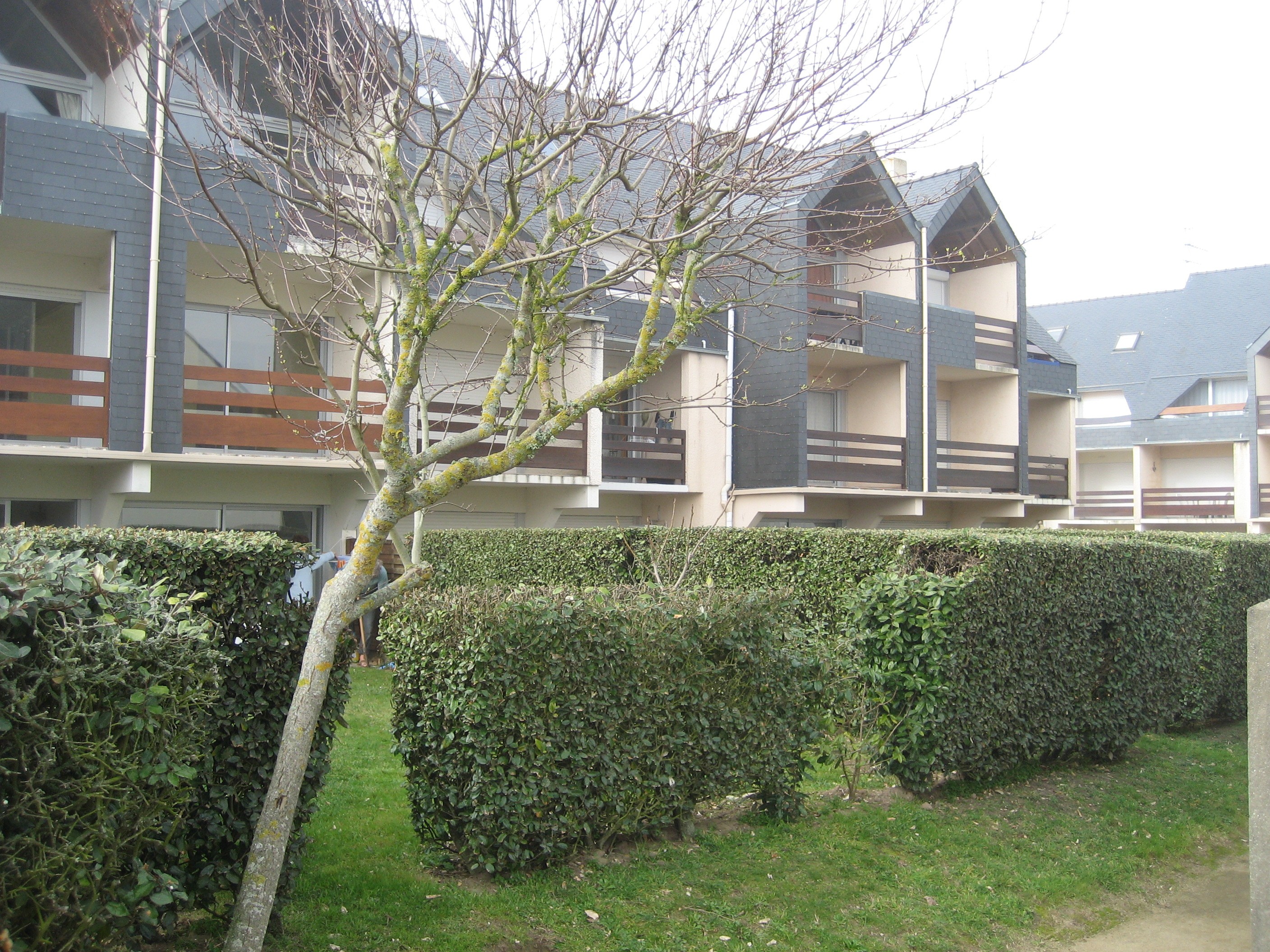 Photo n° 9 de la location