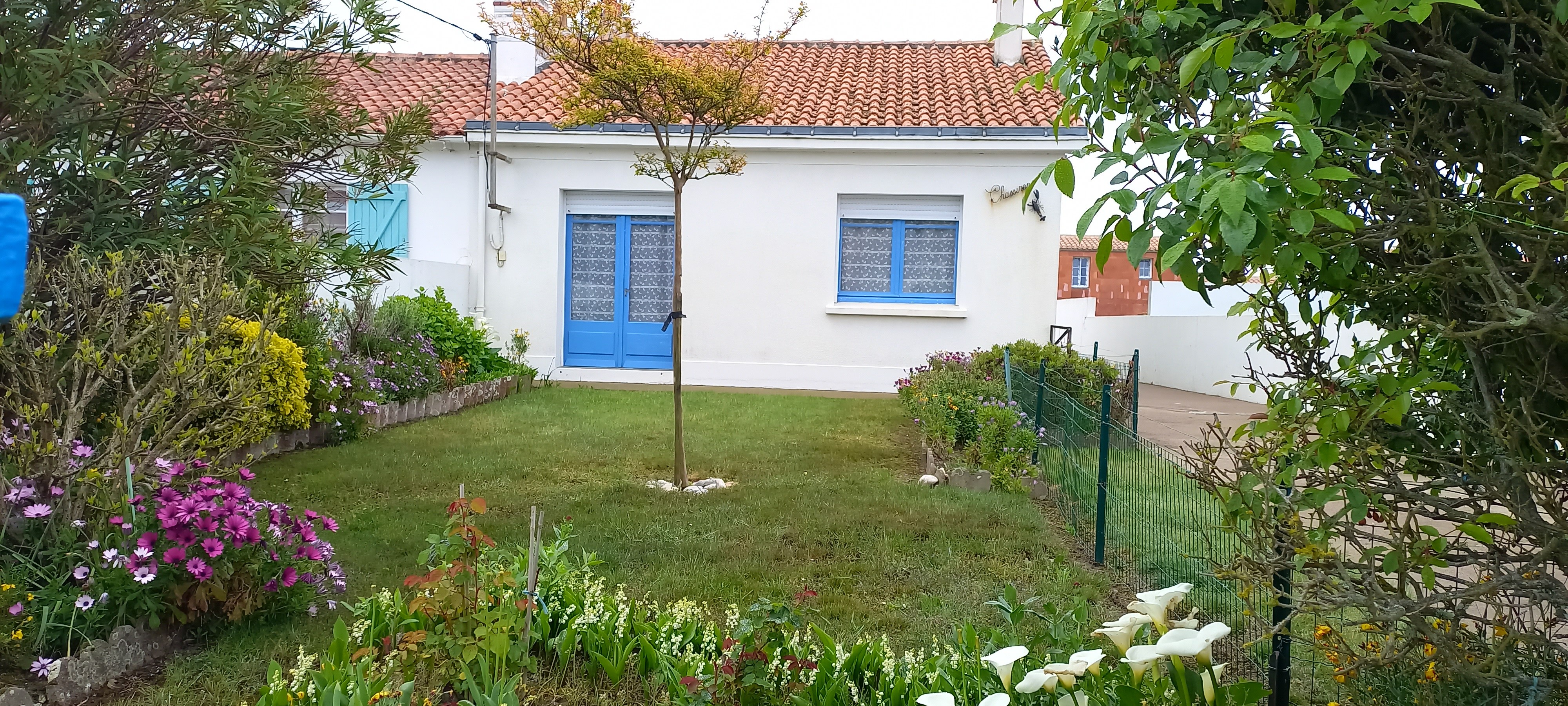 garden view