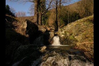 Photo n° 6 de la location