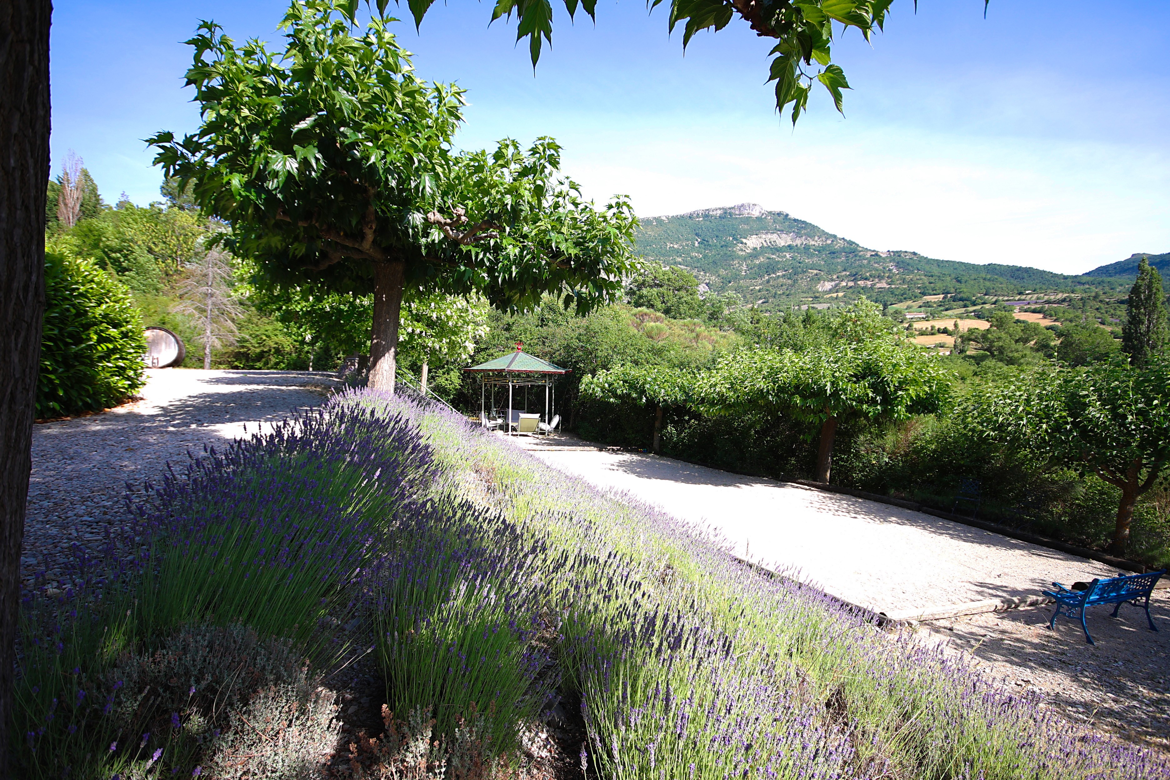 Photo n° 16 of the location
