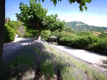 Photo n° 16 of the location