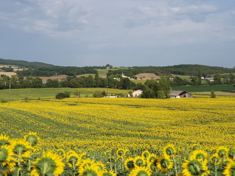 Photo n° 3 de la location